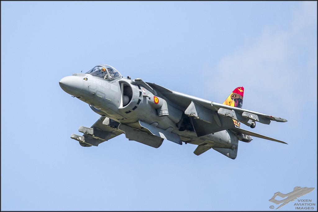 AV-8B Harrier - Spanish Navy 