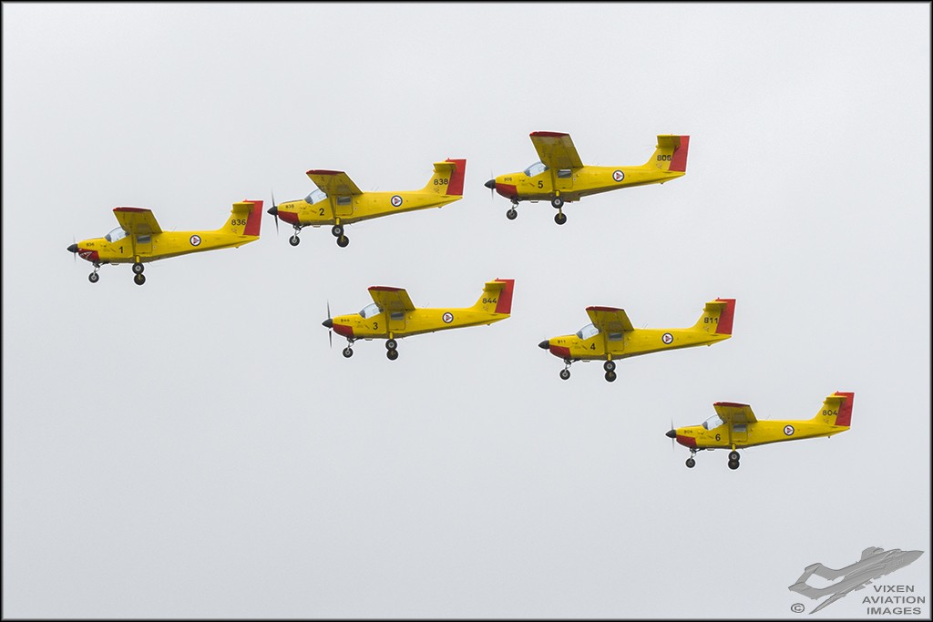 Yellow Sparrows - Norwegian Air Force 