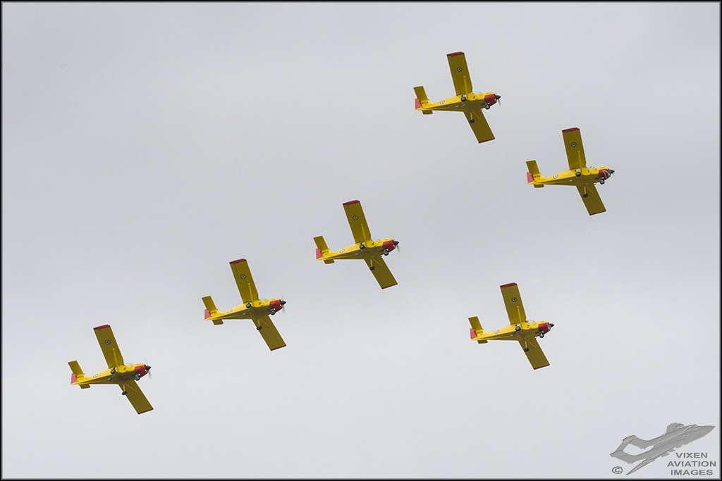 Yellow Sparrows - Norwegian Air Force 