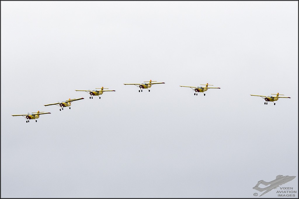 Yellow Sparrows - Norwegian Air Force 