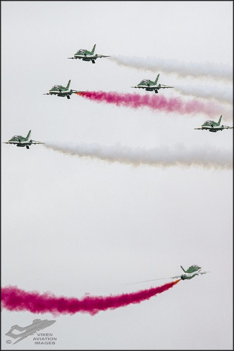 Saudi Hawks 