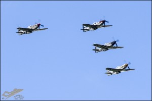 D75_3618