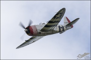 D75_3635