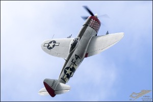 D75_3643