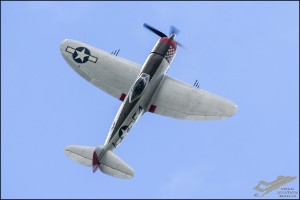 D75_3647