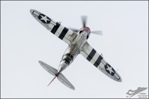D75_3662