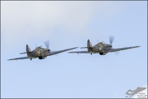 D75_3846