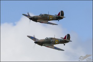 D75_3903