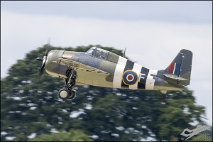D75_3954