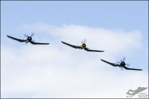 D75_4079