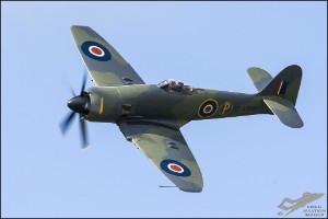 D75_4267