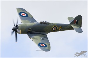 D75_4269