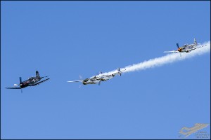D75_4353