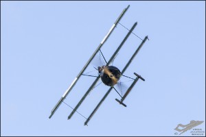 D75_4393