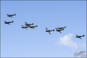 D75_4446