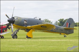 NZ6_0511