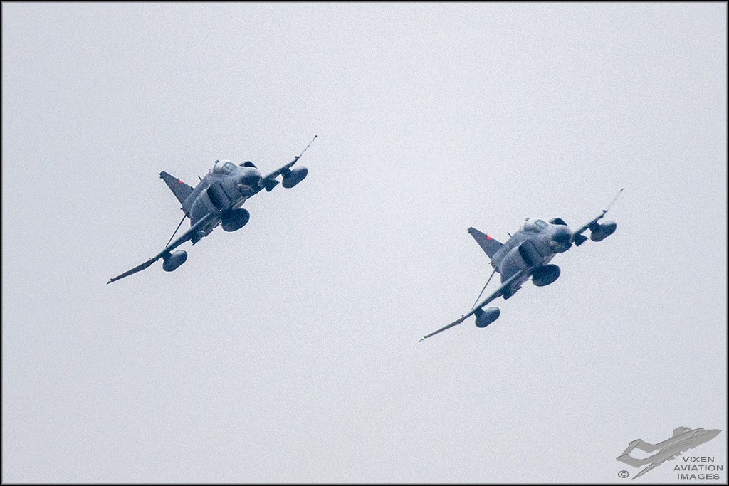 D75_7943 