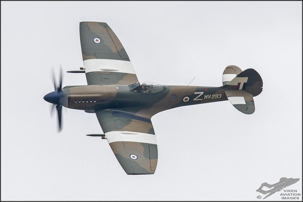 D75_5936 