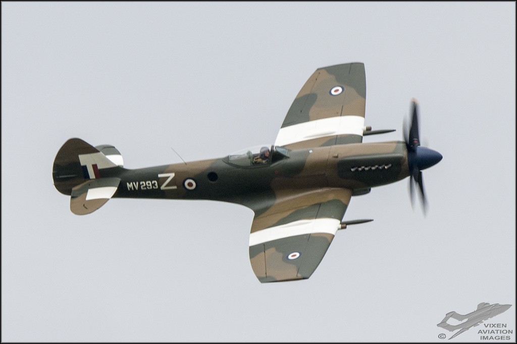 D75_5952 