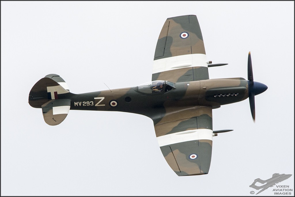 D75_5984 
