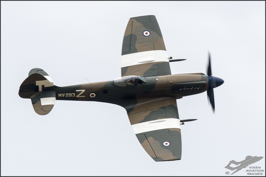 D75_5998 