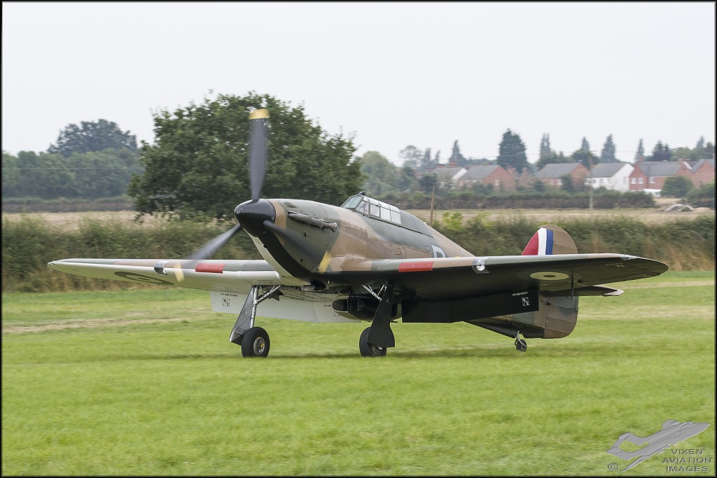 D75_6031 