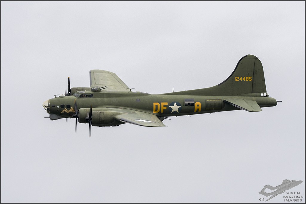D75_6109 