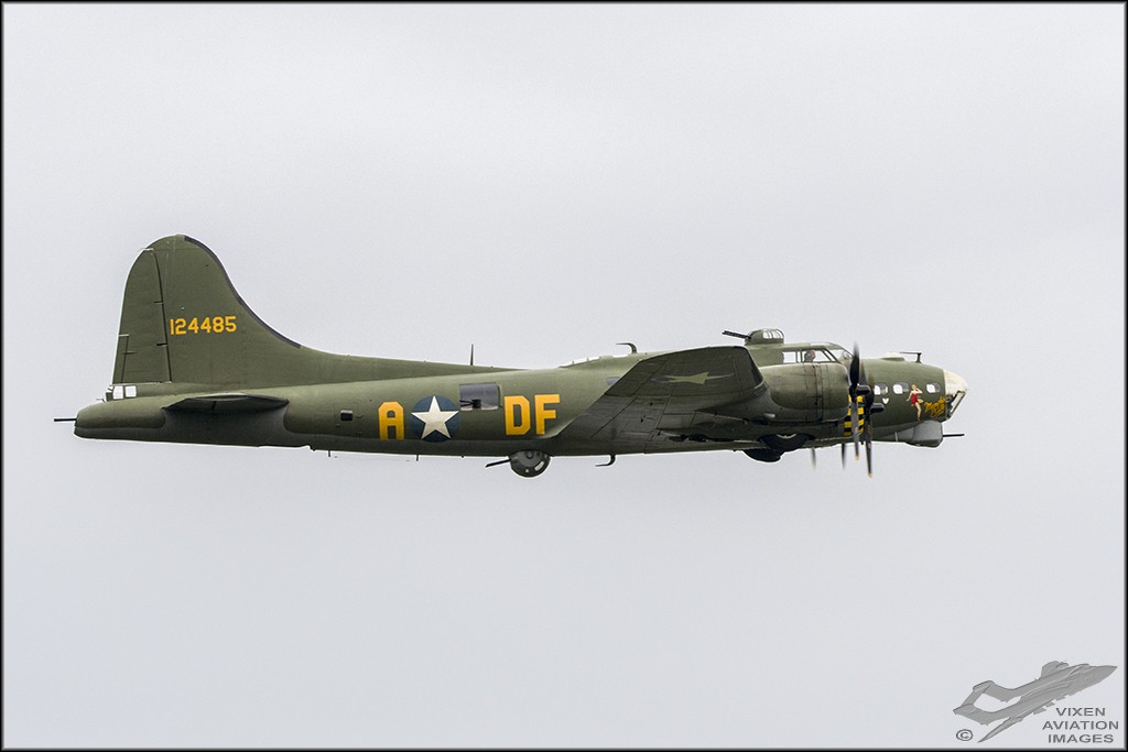 D75_6116 