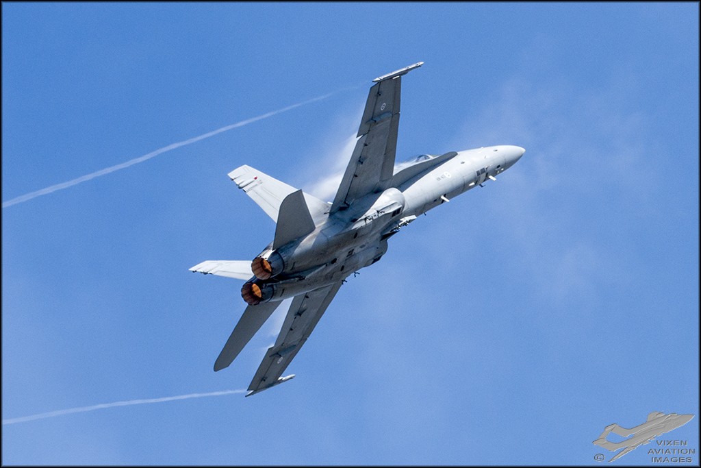 F/A-18C Hornet 