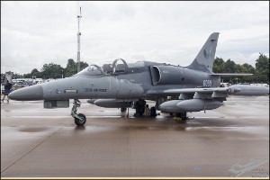 PXL_20250719_085804580.RAW-02.ORIGINAL