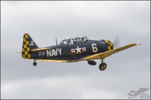 D75_8719a
