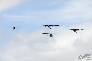 NZ6_1309