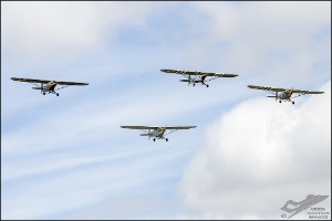 NZ6_1311