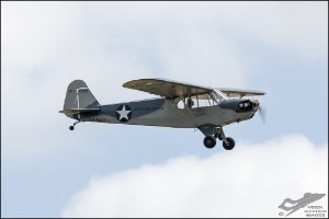 NZ6_1319