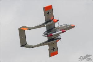 NZ6_1391