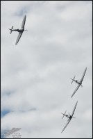 NZ6_4308