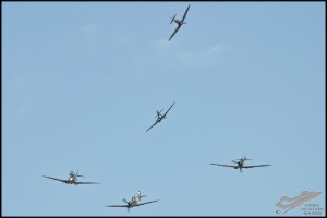 NZ6_4404