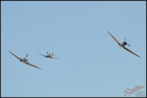 NZ6_4407