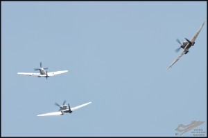 NZ6_4411