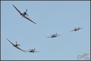 NZ6_4446