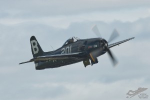 NZ6_4479