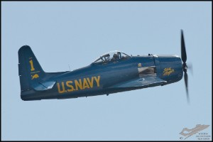 NZ6_4495