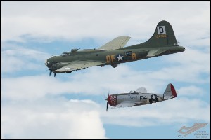 NZ6_4655