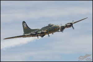 NZ6_4667