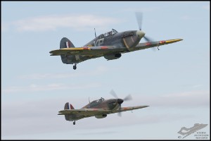 NZ6_4688
