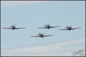 NZ6_4716