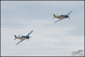 NZ6_4808