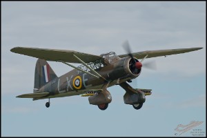 NZ6_4861