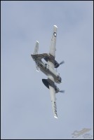 NZ6_4946