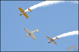 NZ6_4959